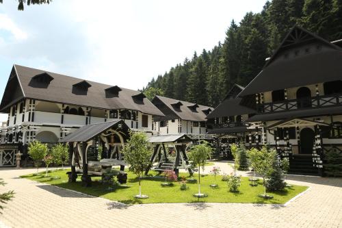 Complex Lions Bucovina - image 5