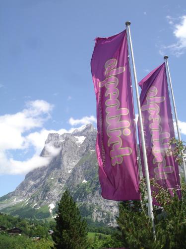 Hotel Alpenblick - image 9