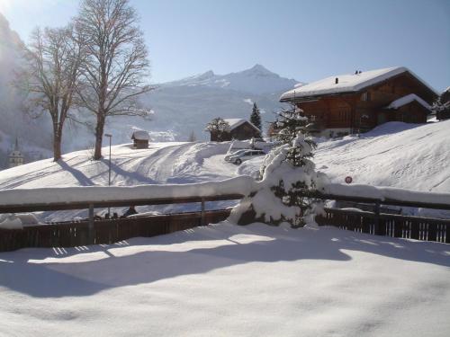 Hotel Alpenblick