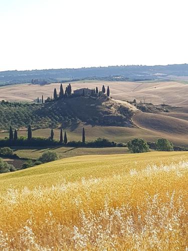  Apartment La Scala 1572, Pension in San Quirico dʼOrcia