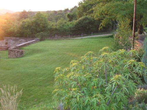 Guest House Slivek - image 6