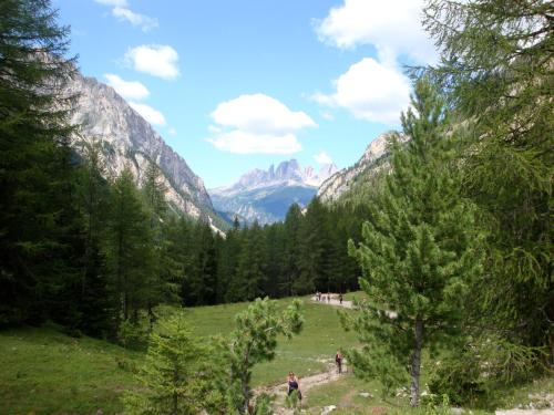 Single Room with Mountain View