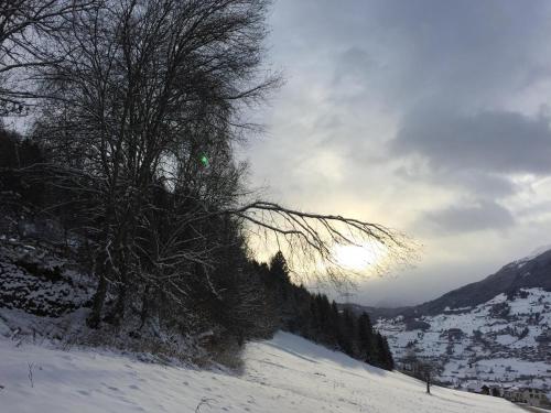 Apart Ferienraich - image 11