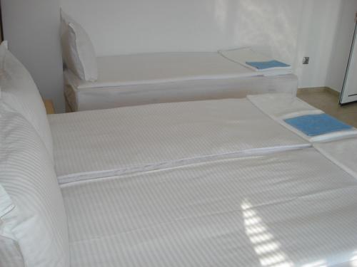 The Sunny Home Guesthouse - image 3