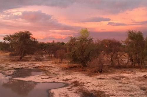 South Okavango - Omogolo Hideaways