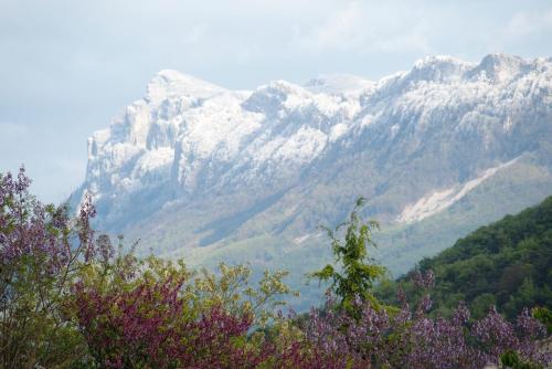 Maison entière avec spa privatif Bulle sur Sye en Drome