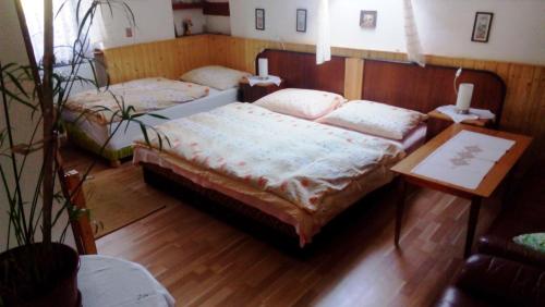 U Tří Koček - image 10