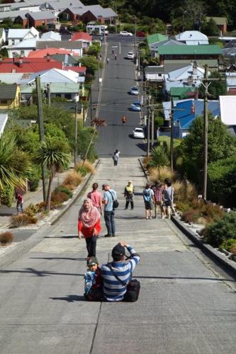 Baldwin Street: Steepest Street in the World!