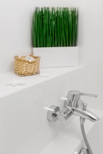 Millennium Manufaktura Green - image 6