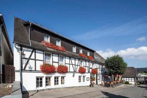 Hotel Lindenhof - image 8