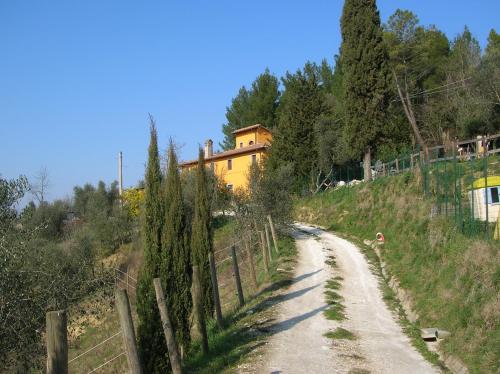 Poggio delle Capre