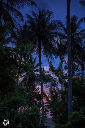 Seaflower Bungalows – Ko Pha Ngan, UT