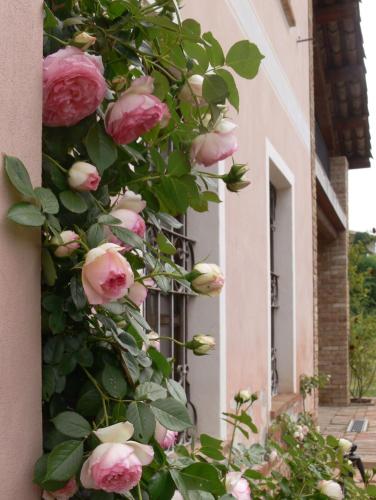 Photo - Casa Isabella