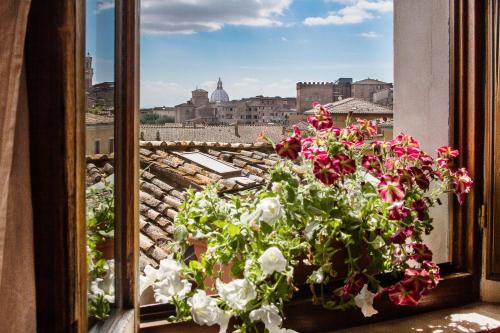 A Casa Mastacchi - Accommodation - Siena