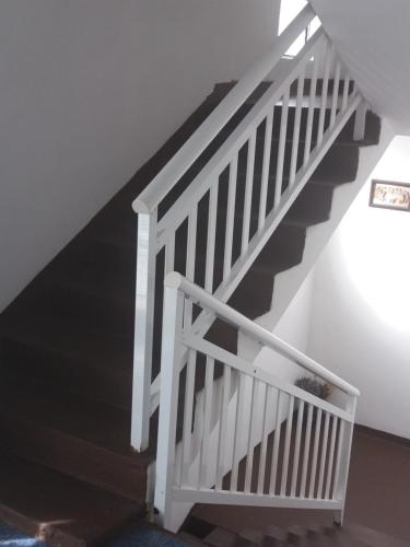 Guest house Janja Ostojic - image 2