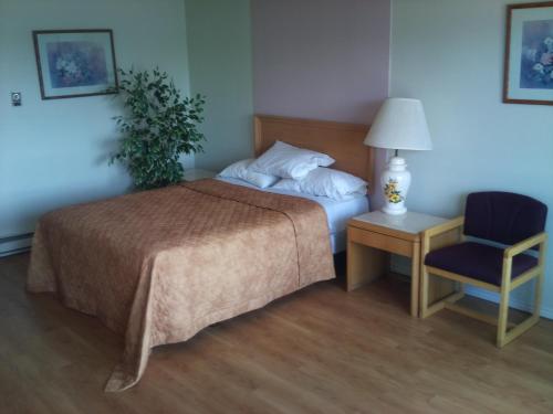 Rainbow Motor Inn - Fallsview