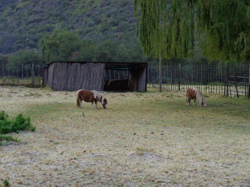 De Oude Meul Country Lodge & Restaurant