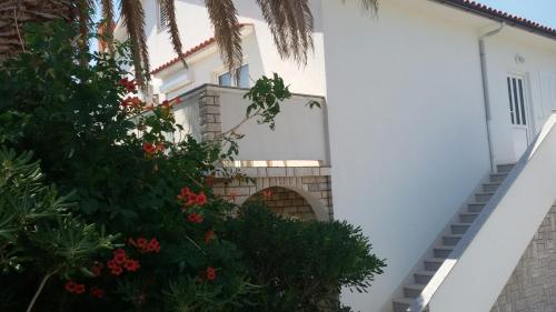  Ana Andreskic in Lopar