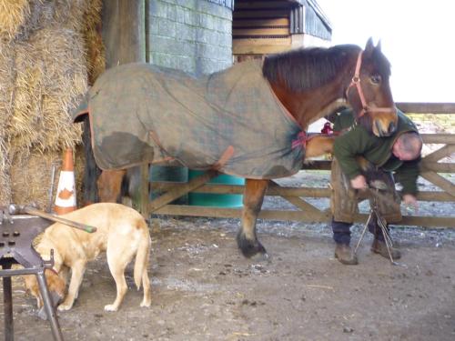 Rye Hill Farm - image 6