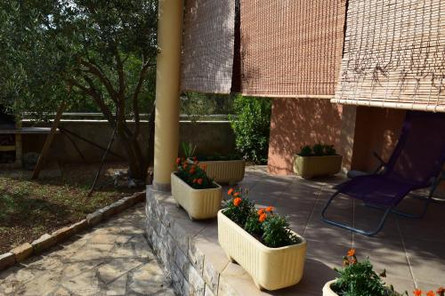 Vodice Family Apartment