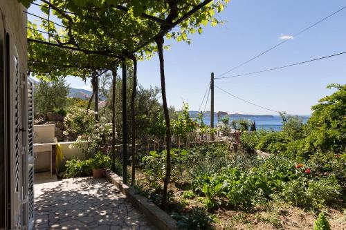 Apartments Olive - image 4