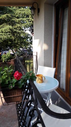 Balcony/terrace, Apartment Vukasevic in Virpazar