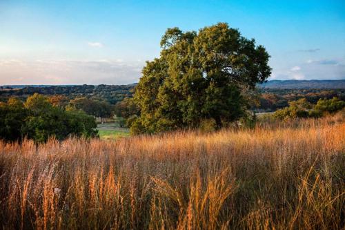 Joshua Creek Ranch