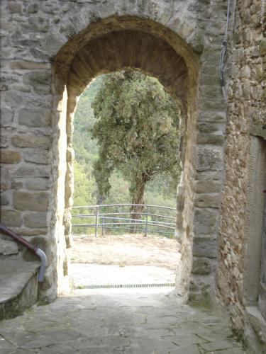  Castello di Sarna in Chiusi della Verna
