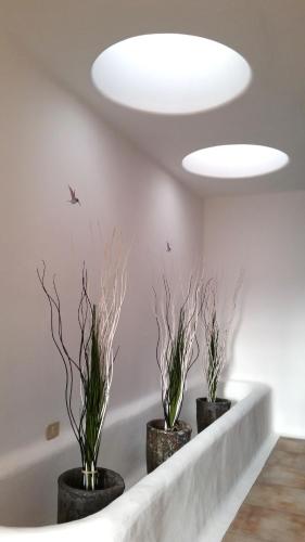 Loro Verde - image 11