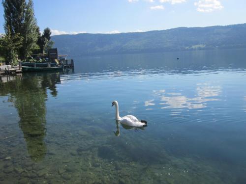 Ferienwohnung Moser am See