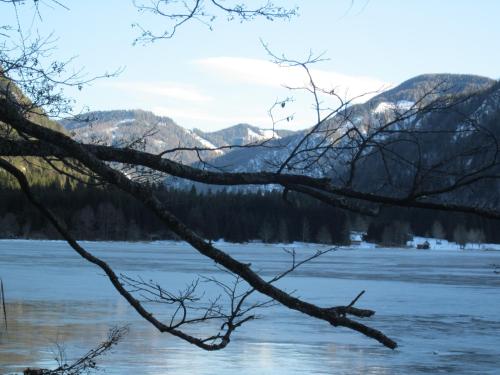 Ferienwohnung Moser am See