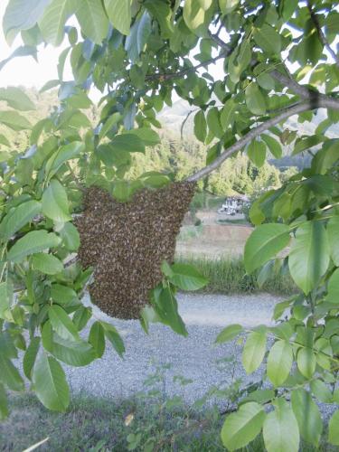 Agriturismo Bio-Ecologico Sant'Isidoro