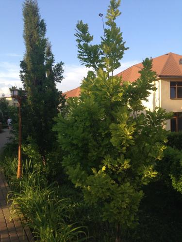 Apartments Sun - main image
