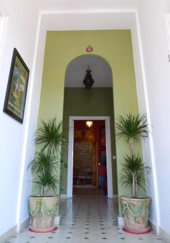 Villa Alicia Guest House - image 3