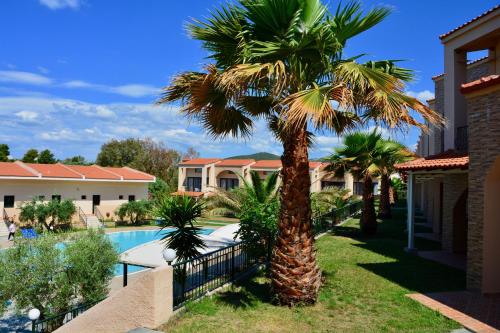 Village Mare - image 5