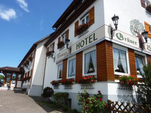 Hotel Landgasthof Gruner Baum - Hochdorf