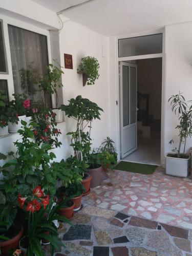 Primorsko Apartments - image 4
