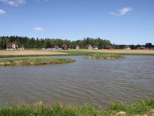 KFH Olgino - image 6