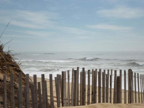 A Wave Inn - Montauk in Montauk, USA