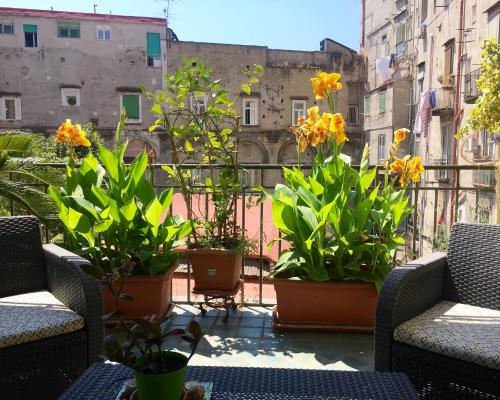 B&B Bellini - image 11