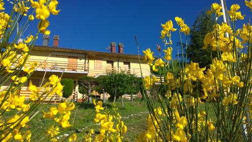  Residence Le Terrazze, Unterkunft in Carpegna