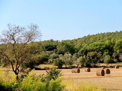 Can Barrull-Costa Brava-Emporda