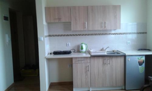 Apartament Borowiacki