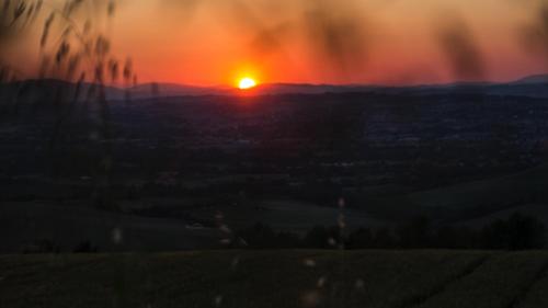  Il Giardino delle Rose in Santa Maria Nuova