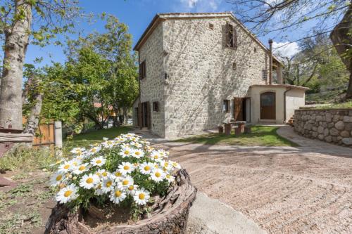 B&B Podere Legnotorto - Accommodation - Castel del Piano