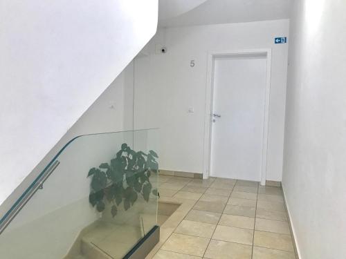 Apartments Lucija - image 7