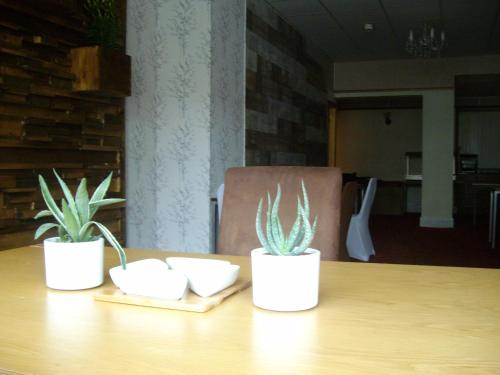 Fairview Hotel - image 3