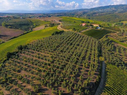 Agriturismo Luggiano