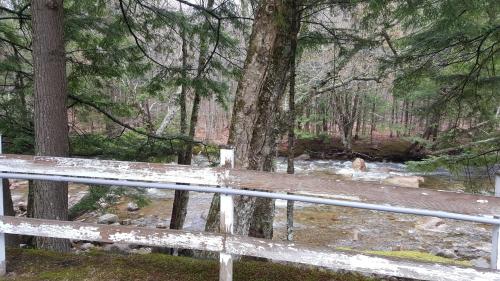 Franconia Notch Motel