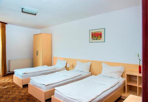 AselTur Brasov - image 7